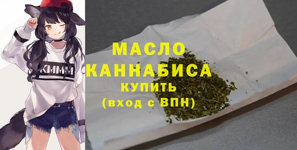 скорость Вяземский