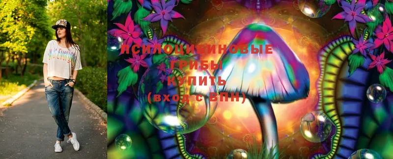 Галлюциногенные грибы Psilocybe  ссылка на мегу зеркало  Правдинск 